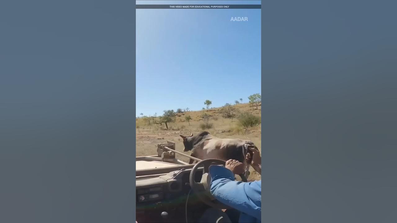 Now on what's facts repeats History resets facts factsinhindi 