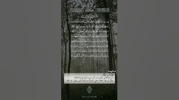 ﷽﴿آمَنَ الرَّسولُ بِما أُنزِلَ إِلَيهِ مِن رَبِّهِ وَالمُؤمِنونَ﴾🌹. تلاوة خاشعة للقارئ ياسر الدوسري