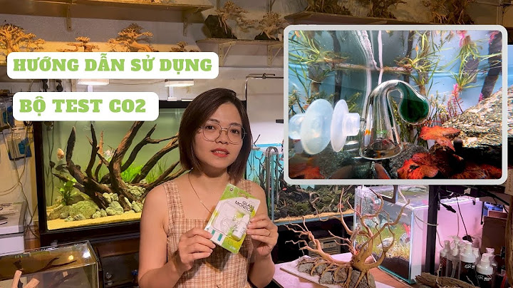 Hướng dẫn sử dụng check co2 cho hồ thủy sinh