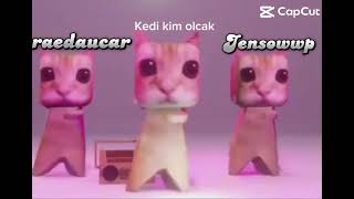 Kedi Kim Olsun