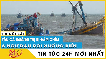 Vì sao tàu cá bị đâm chìm khiến 6 ngư dân rơi biển ở Côn Cỏ? | TV24h
