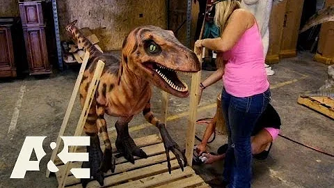 Shipping Wars: Chelsea and Courtney Load Some Dino...