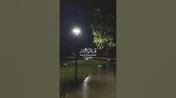 القارئ: شريف مصطفى | سورة : يونس