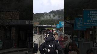 10/27 푸바오실시간 신나는 오픈런 월요일인데 많이 오셨네요