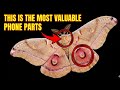 This bug solved billions dollar problem