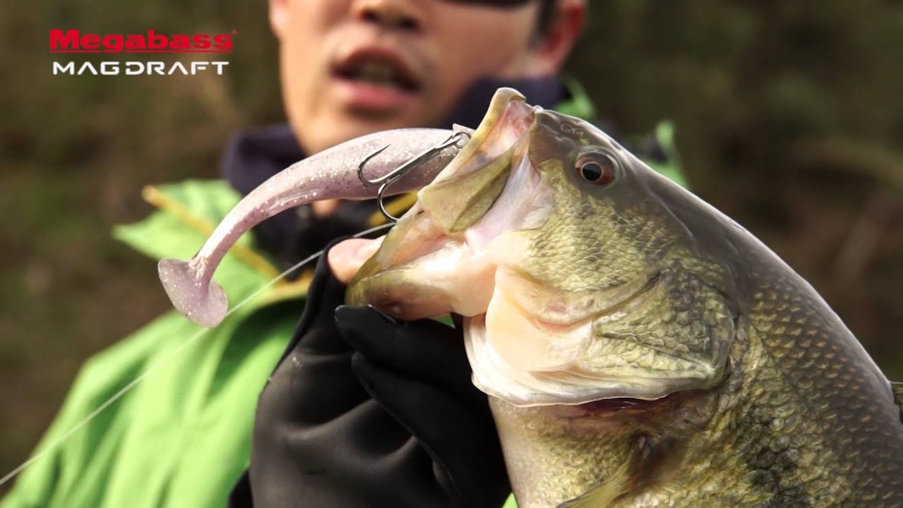 Megabass Movie 193 マグドラフトで春バス攻略 Youtube Megabass Movie 193 マグドラフトで春バス攻略 Youtube