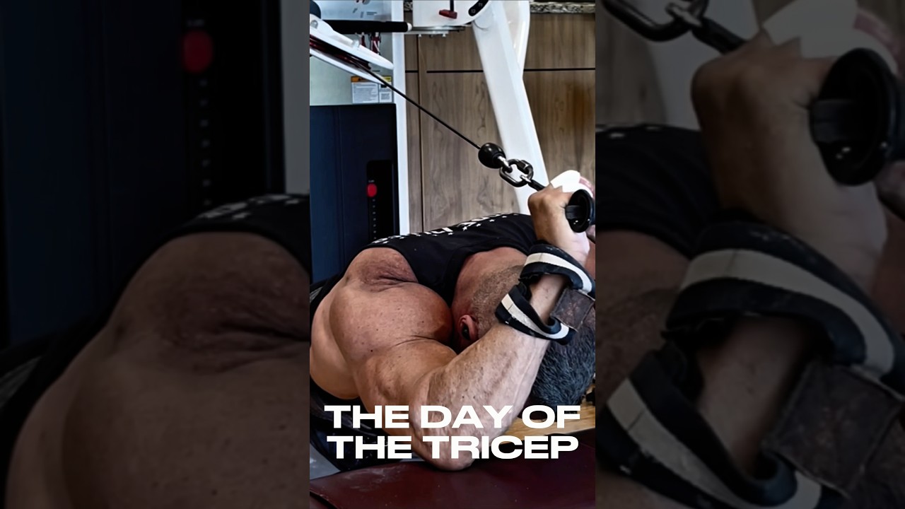 THE DAY OF THE TRICEP #motivation #workout