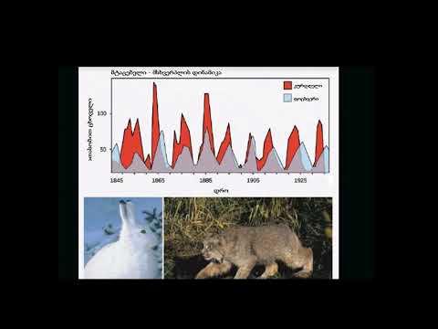 მტაცებლისა და მსხვერპლის ციკლები