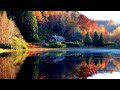 Autumn Leaves (Guitar instrumental) - Live Wallpapers