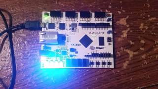 Arty GPIO Demo