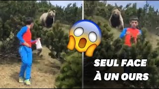 que faire si rencontre ours