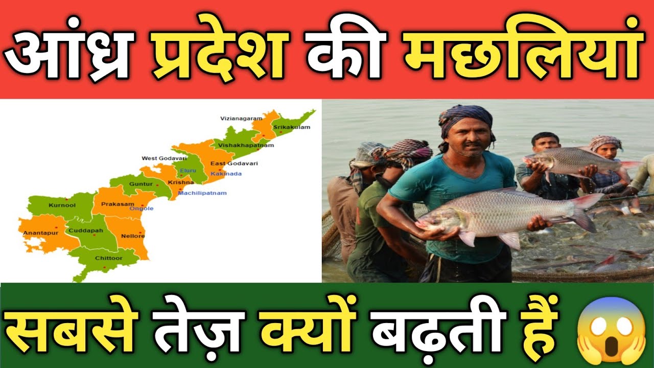 Andhra Fish Farming Technique | 6 Mahine Me 1 Kg Machhli