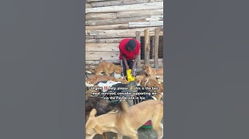 Please consider donating anything little you can afford via PayPal link in bio