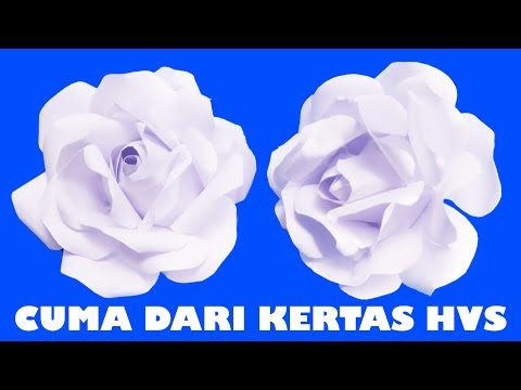 Video: Apa yang putih di HSV?