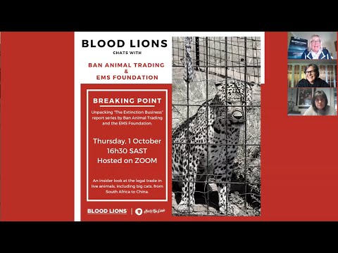 Breaking Point: Unpacking "The Extinction Business" report series. Blood Lions Webinar. Episode 5