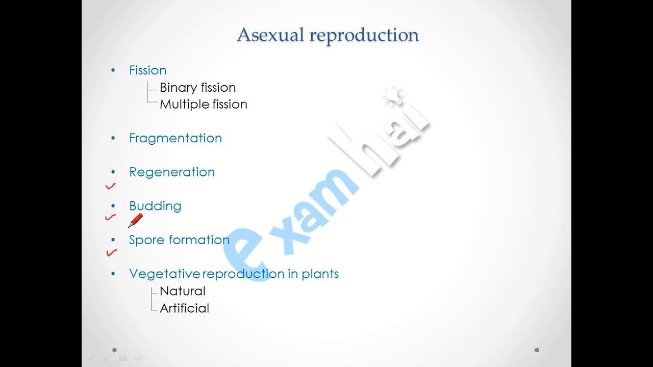 Reproduction in Organisms (Regeneration, Budding, Spore Form.) Class 12th Biology CBSE in Hindi