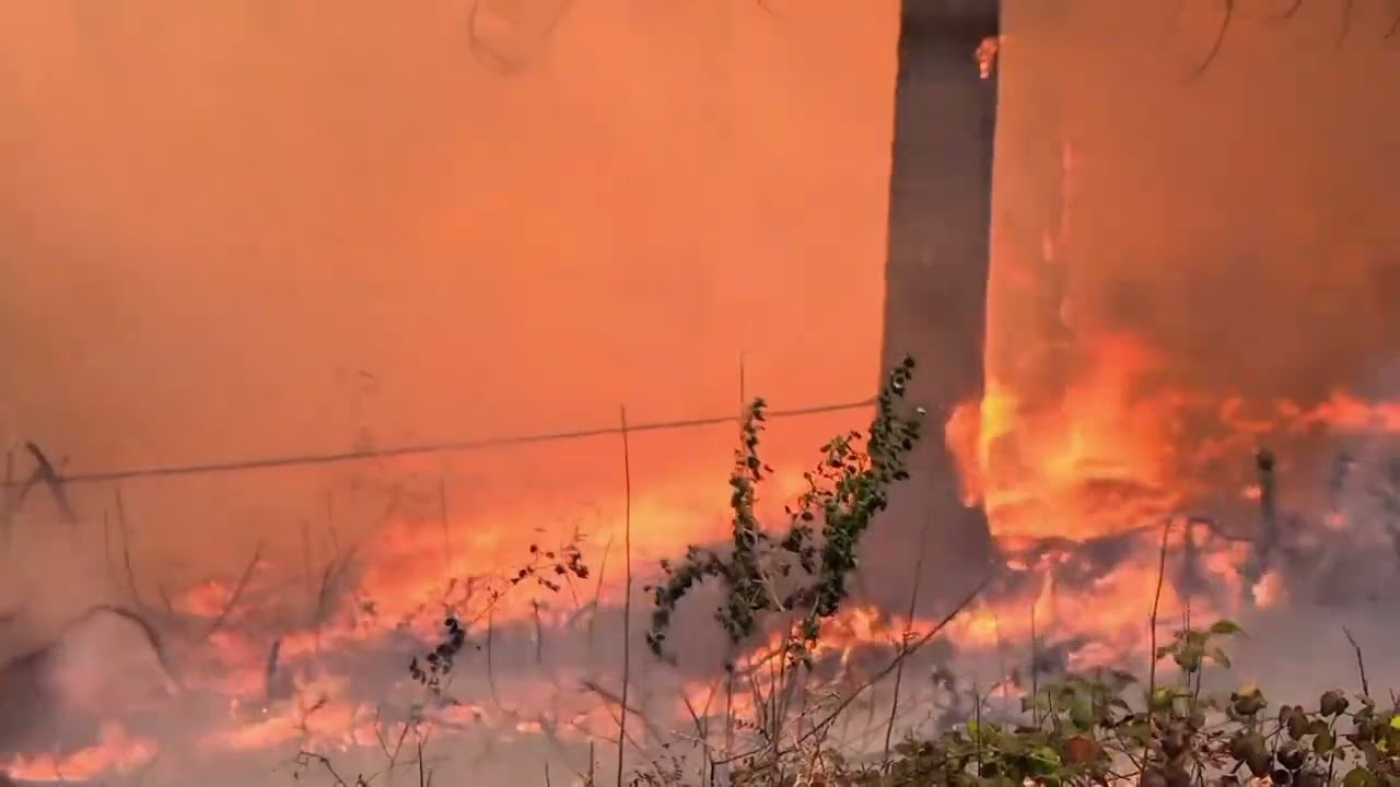 DOCUMENTARY ENVIRONMENTAL | SPI 12