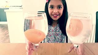Sink or Float Egg Challenge | Easy Science Experiment for Kids |Fun Experiment with Frozen Water
