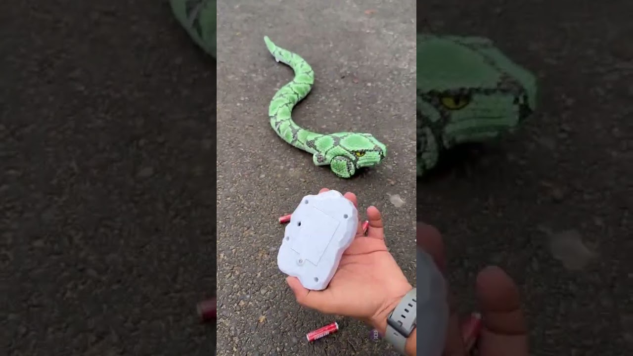 Lo Bro New Remote Control Snake Unboxing🔥