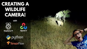 Setting up Tensorflow 2.0 with Docker on Raspberry PI for Wildlife Camera