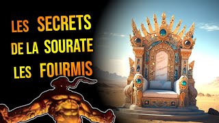Lexplication De La Sourate 27 - An - Naml (Les Fourmis)