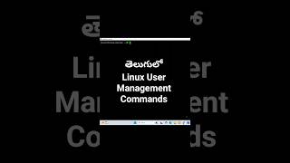 Linux User Management Commands Every Beginner Must Know