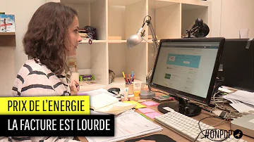 Quel est le fournisseur principal de gaz en France ?