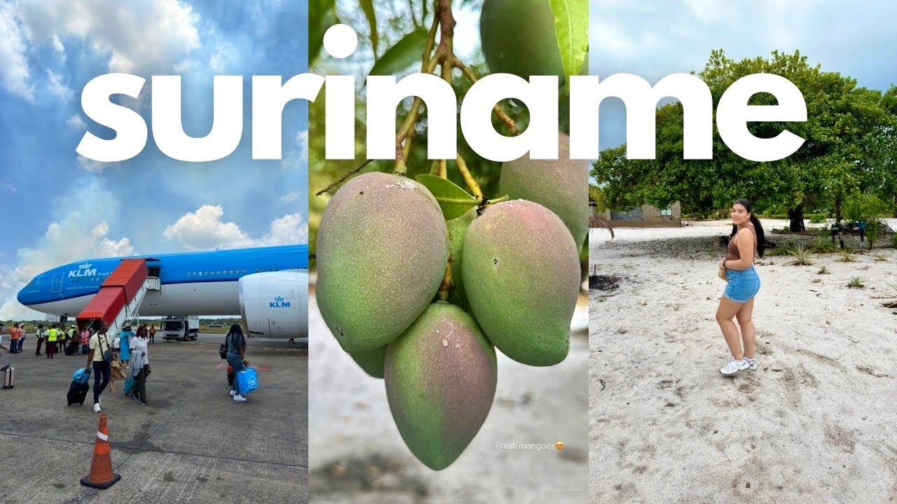 Suriname vlog 2025: In December naar Suriname, Mango's plukken & Casavebrood maken (op z’n inheems)