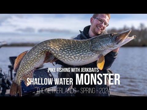 Monster caught in shallow water! - Lure fishing for GIANT northern