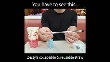 Reusable Straw with Case (keychain)
