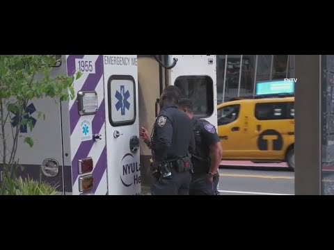 Transgender woman punches man on subway platform: NYPD