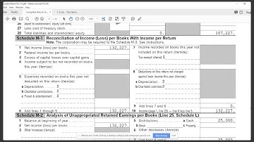 What is the purpose of M Schedules from Form 1120?
