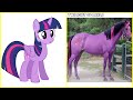 My Little Pony Characters In Real Life 2024