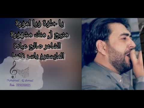 يا حلوة ويا امورة منيح المنك مشهورة الشاعر صالح عبادة المايسترو ياسر زكريا