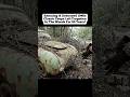 Rescuing A Destroyed 1940s Classic Coupe Left Forgotten In The Woods For 60 Years! #cars #carrepairのサムネイル