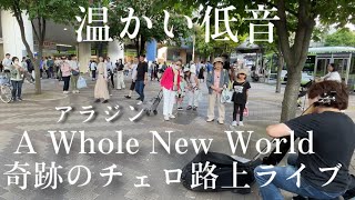 急にプロのチェロ奏者がアラジン“A Whole New World”を弾いたらだんだん人が集まってきて...【ストリートチェロ】