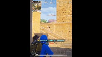 Normal Clutch With PP-Bizon 🔥