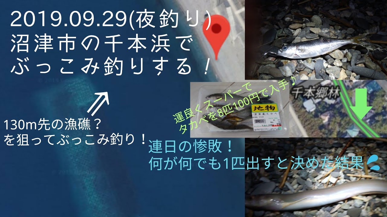 沼津市の千本浜でぶっこみ釣り ギリなんとかなった 19 09 29 Youtube