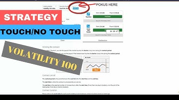 TOUCH/NO TOUCH STRATEGY VOLATILITY 100-BINARY.COM TRADING STRATEGY