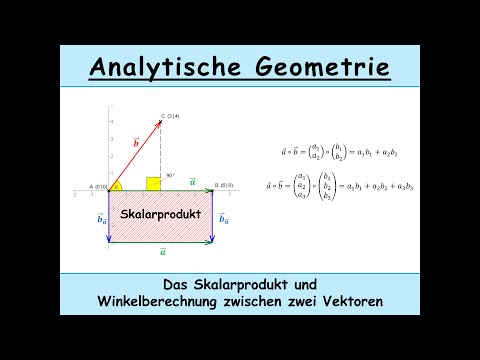 Skalarprodukt berechnen erklärt + Winkel von zwei Vektoren (Analytische Geometrie | Mathe)