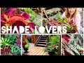 * DIY SHADE / PART SUN PLANTER’S - How To Choose Plants That Go Together*