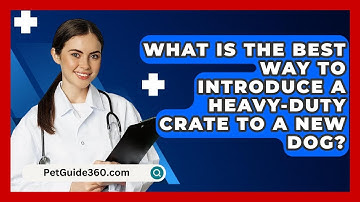 What Is The Best Way To Introduce A Heavy-duty Crate To A New Dog? - PetGuide360.com