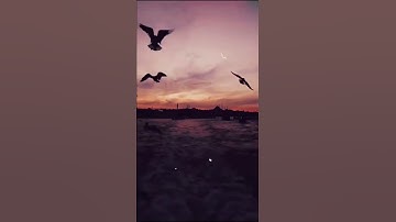 "ففروا الى الله"...تلاوة خاشعة بصوت القارئ إسلام صبحي ||سورة الذاريات💜💦.