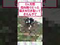 【2ch面白いスレ】売れ残りの犬を迎い入れたで#2ch #2ch面白いスレ