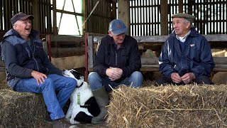 Sheepdog Memories: A conversation about Manx sheepdog trials