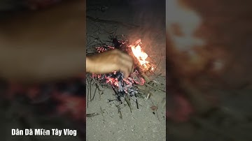 Cá lóc nướng miền tây