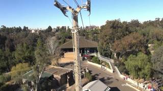 Riding the Zoo FROM THE SKY! 🚡 San Diego Zoo Skyfari 2013 Full POV