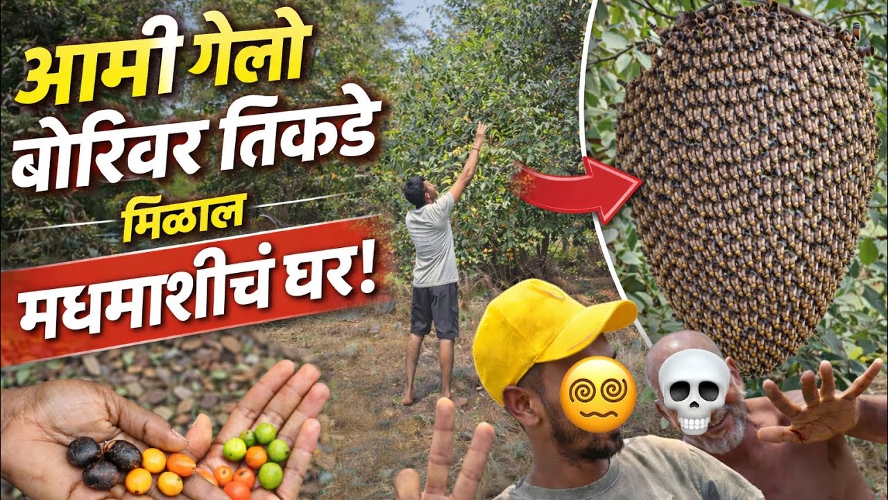Borivar Geloy Ani Sapadla Madhmashich Ghar | Real Village Experience #konkan #viral #vlog 