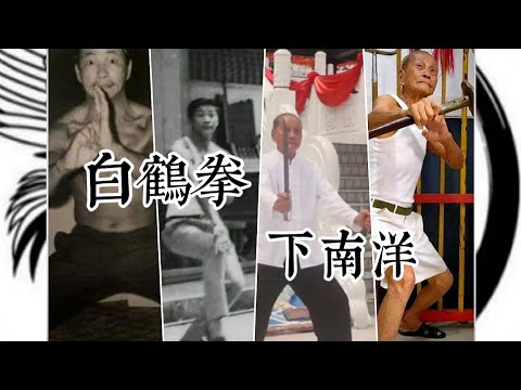 秘拳白鶴門食鶴拳 : 南派少林拳正宗 Amazon.co.jp: 秘拳白鶴門食鶴拳: 南派少林拳正宗 : 劉 銀山: 本