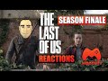 The Last Of Us HBO Episode 9 &quot;Look For The Light&quot; Review
